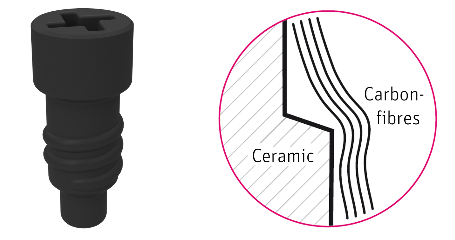 System image and infographic of a VICARBO® screw